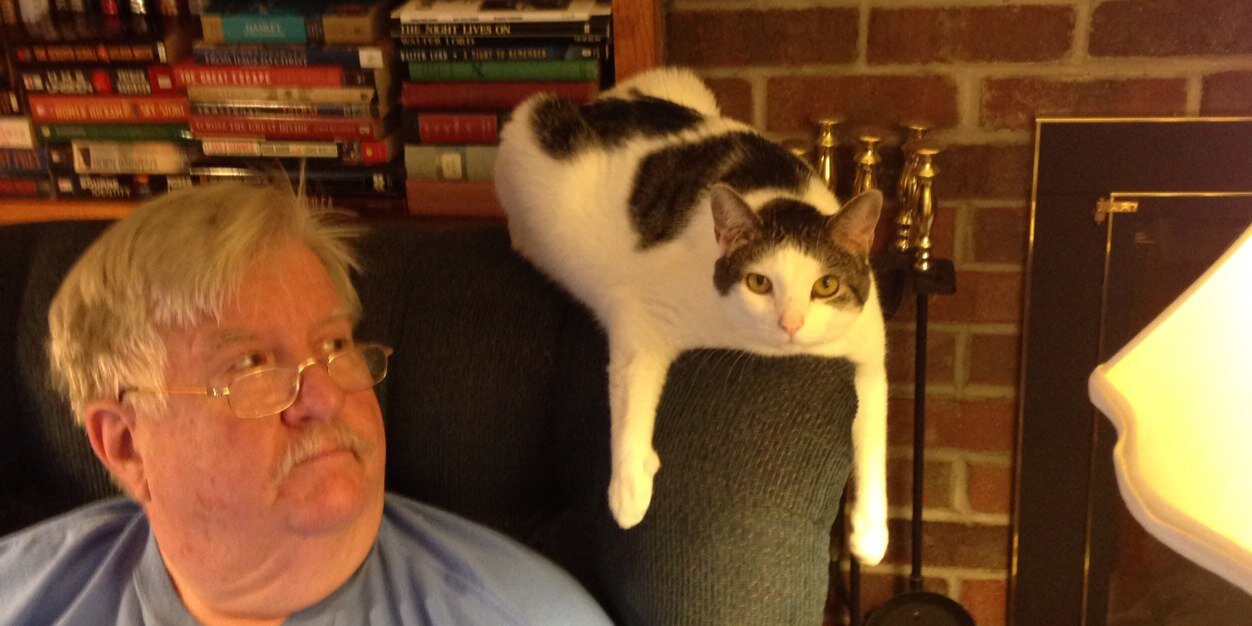 Rodney Strong banner