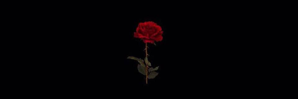 ThaiiAlexandre's profile banner image