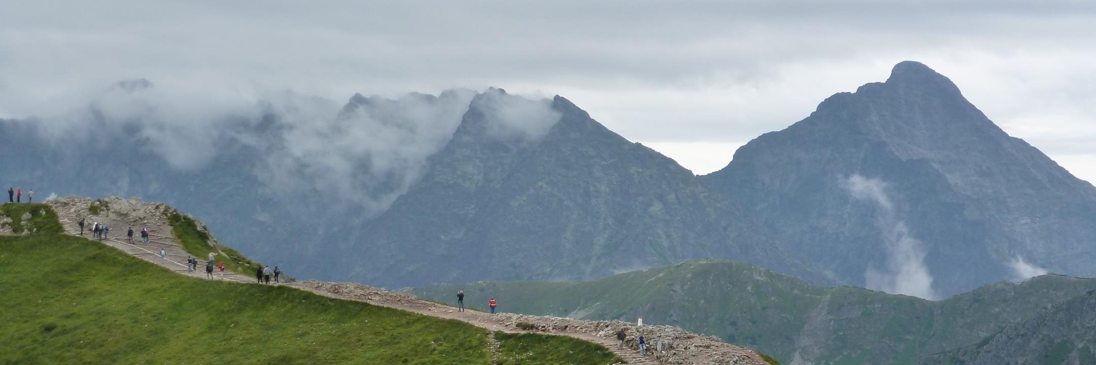 Catherine Wilson banner