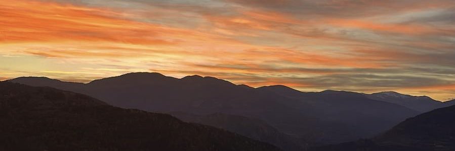 martigrive's profile banner image