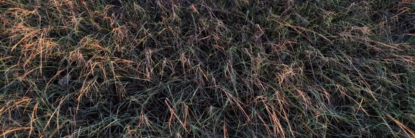 thadmoore Profile Banner