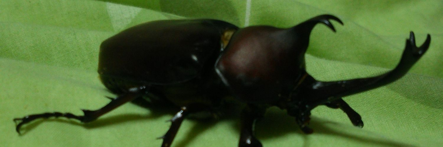 DTせきぐち banner