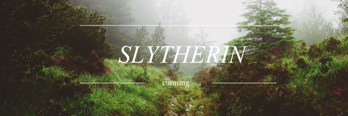 purebloodheir's profile banner image