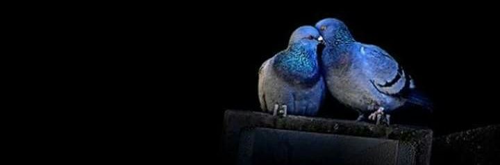 ابووليد banner