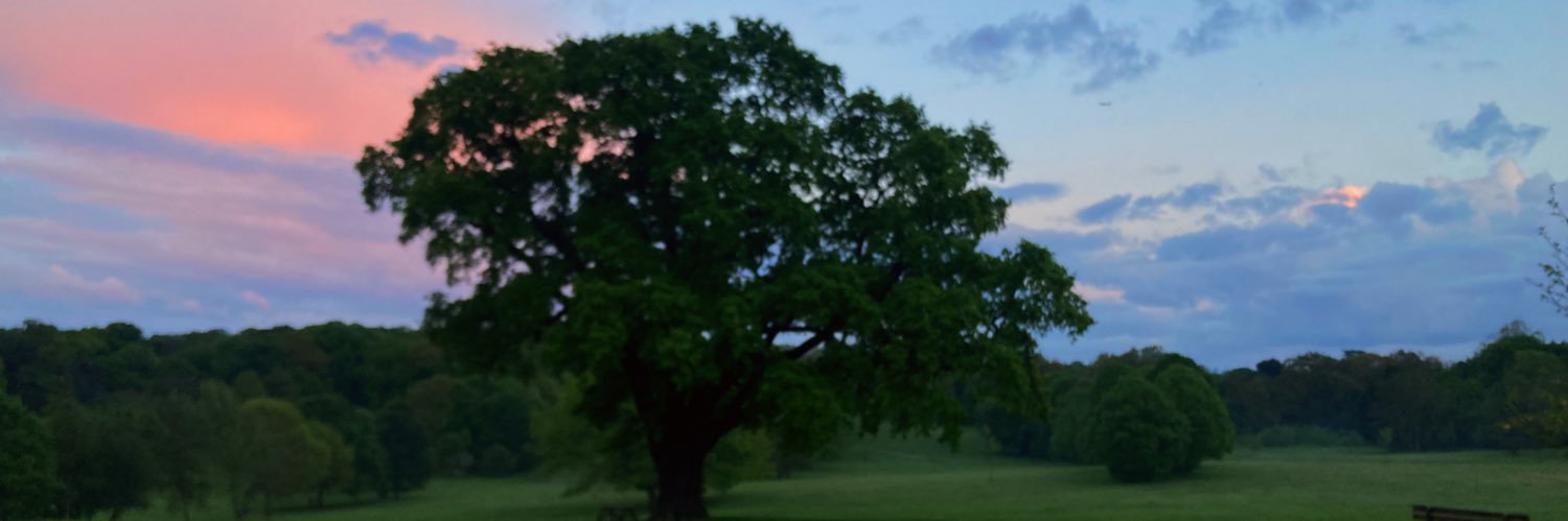 JohnBasquill's profile banner image