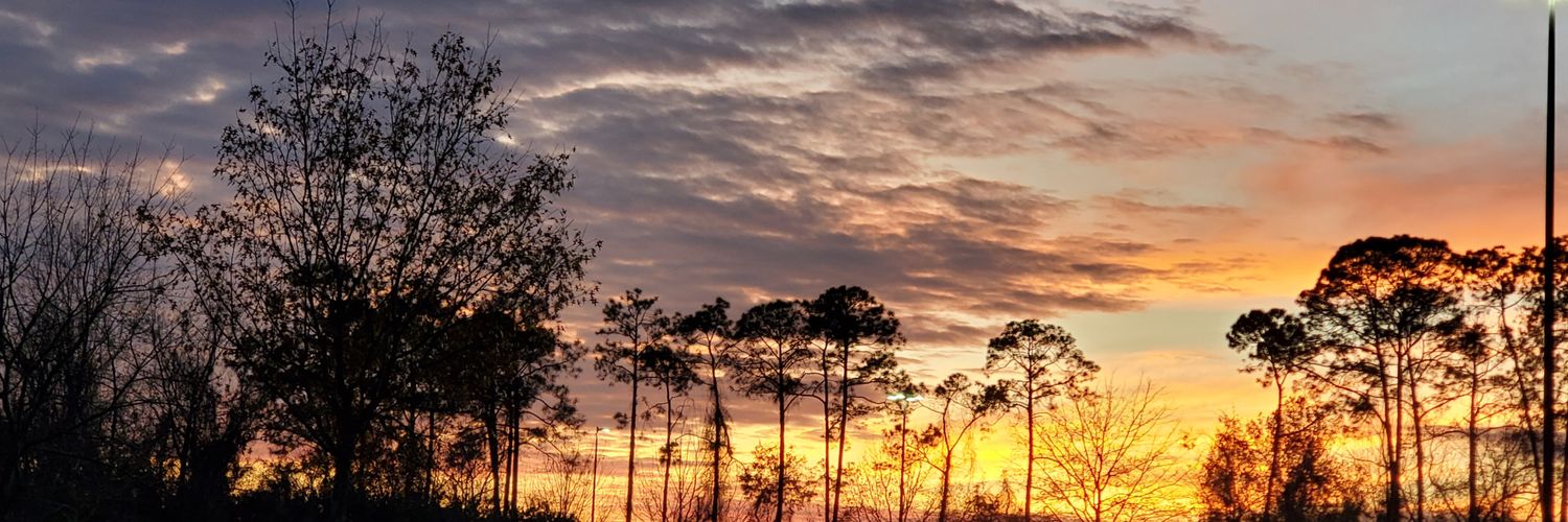 O_C_Native's profile banner image