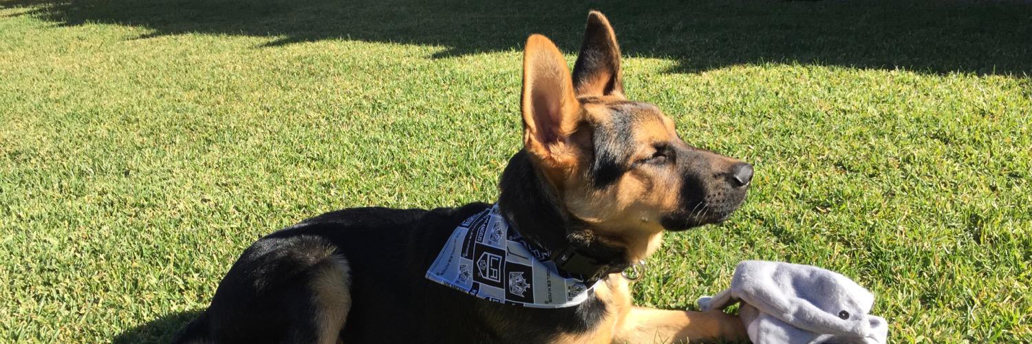 hyearch's profile banner image