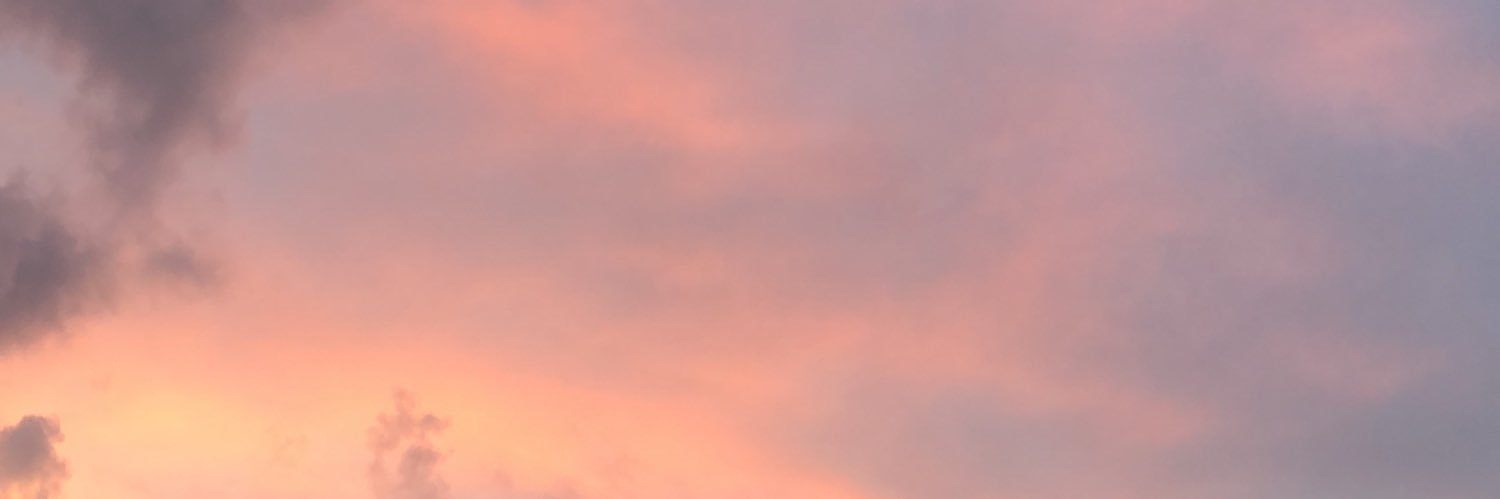 lillyberinger's profile banner image