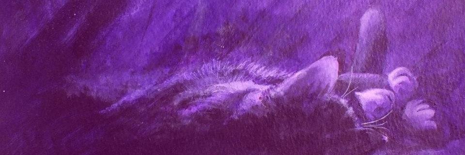 peteceiliog's profile banner image