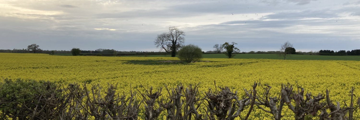 Robert Williams banner