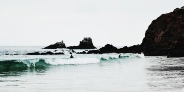taylornogdr's profile banner image
