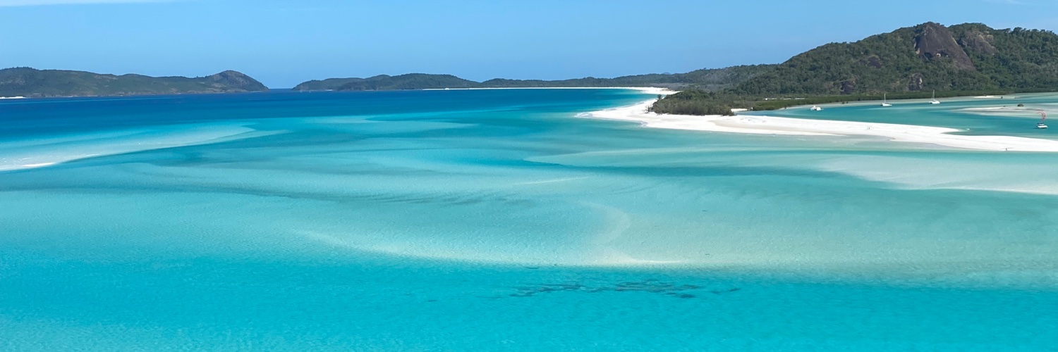 Denuja Karunakaran, PhD 👩🏽‍🔬🔬🧬🫀 banner