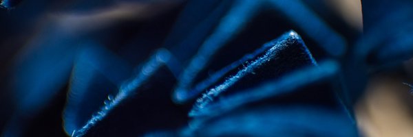 AutPress Profile Banner