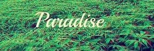 True_King27's profile banner image