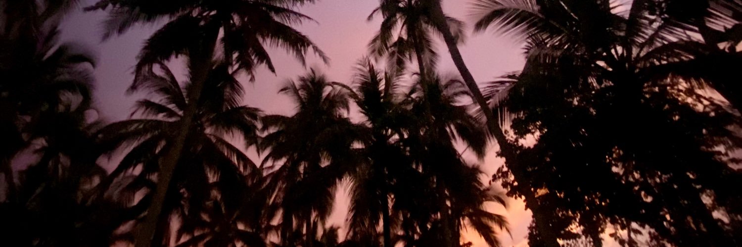 AnllyMerlano's profile banner image