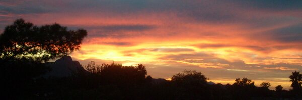 katiedidwork Profile Banner