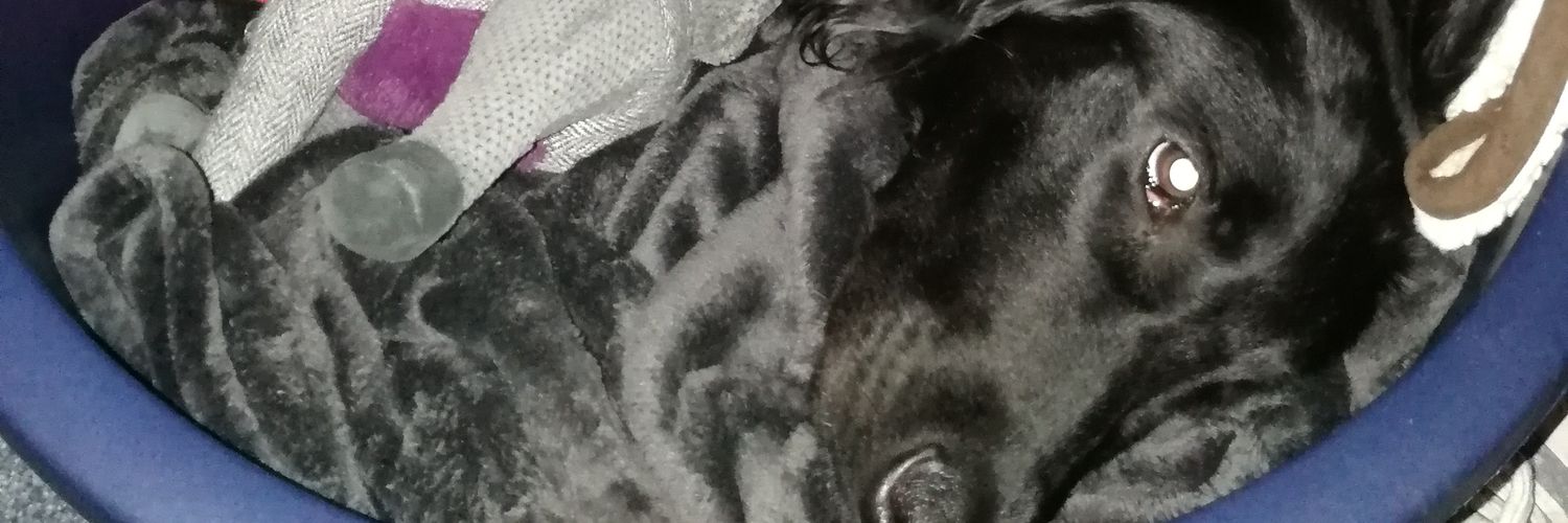 Karen banner