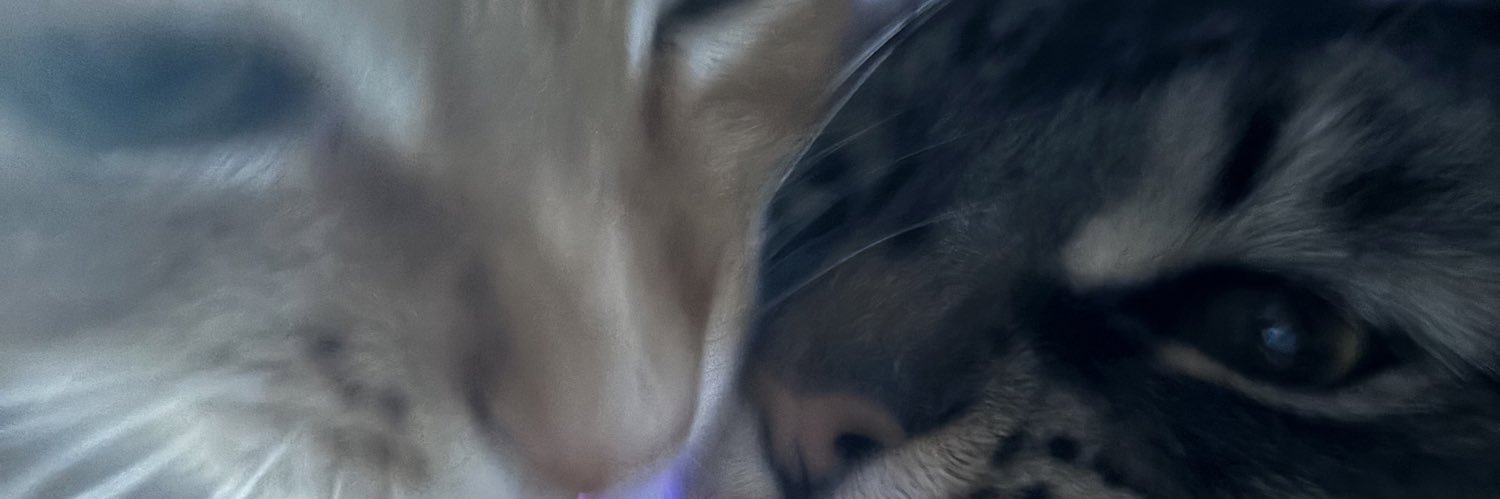 AvaEurez's profile banner image