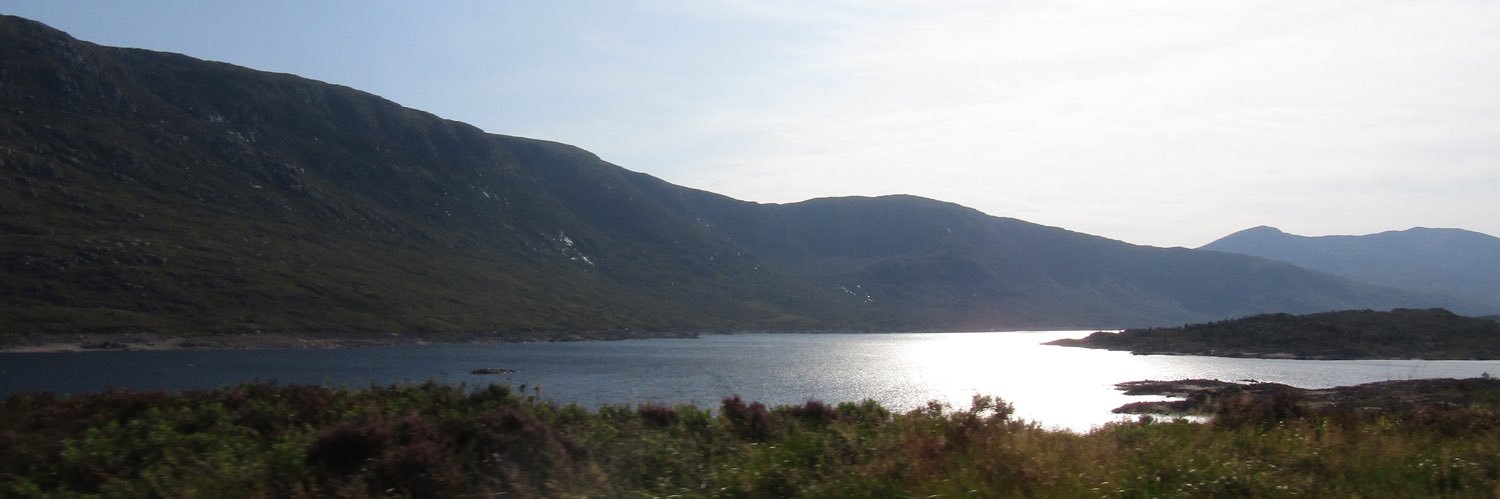 danielle_gorman's profile banner image