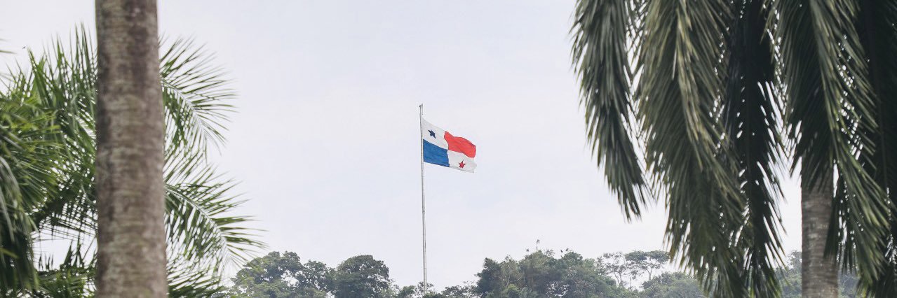 Elsa Fernández banner
