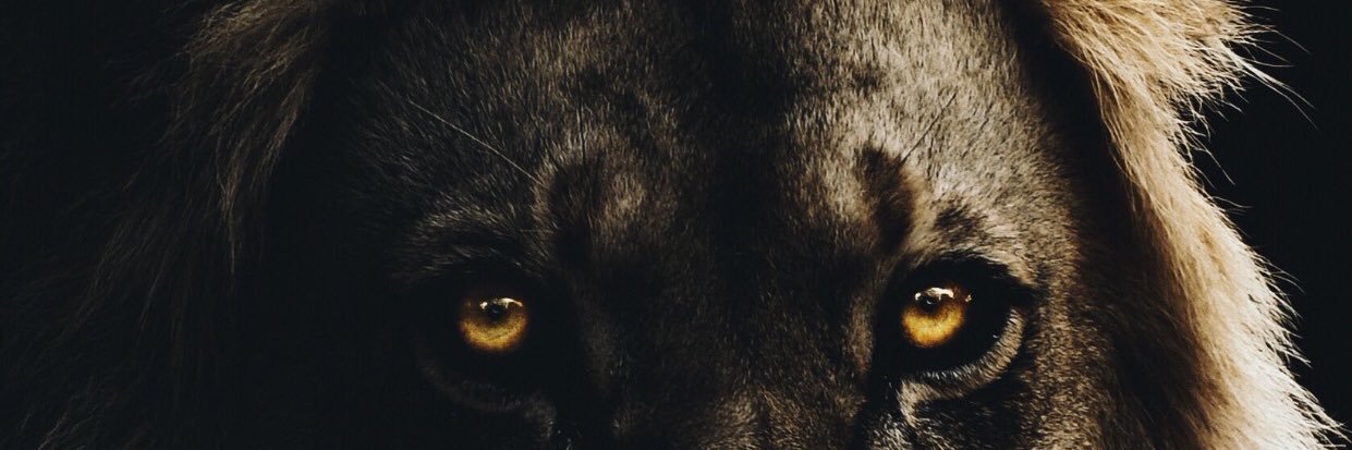 efrenchy3's profile banner image