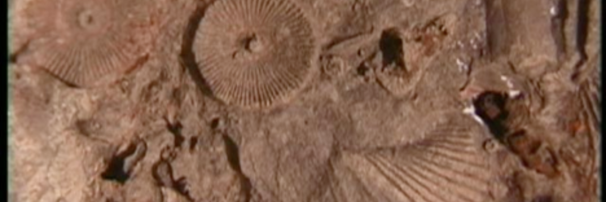 00000IE's profile banner image