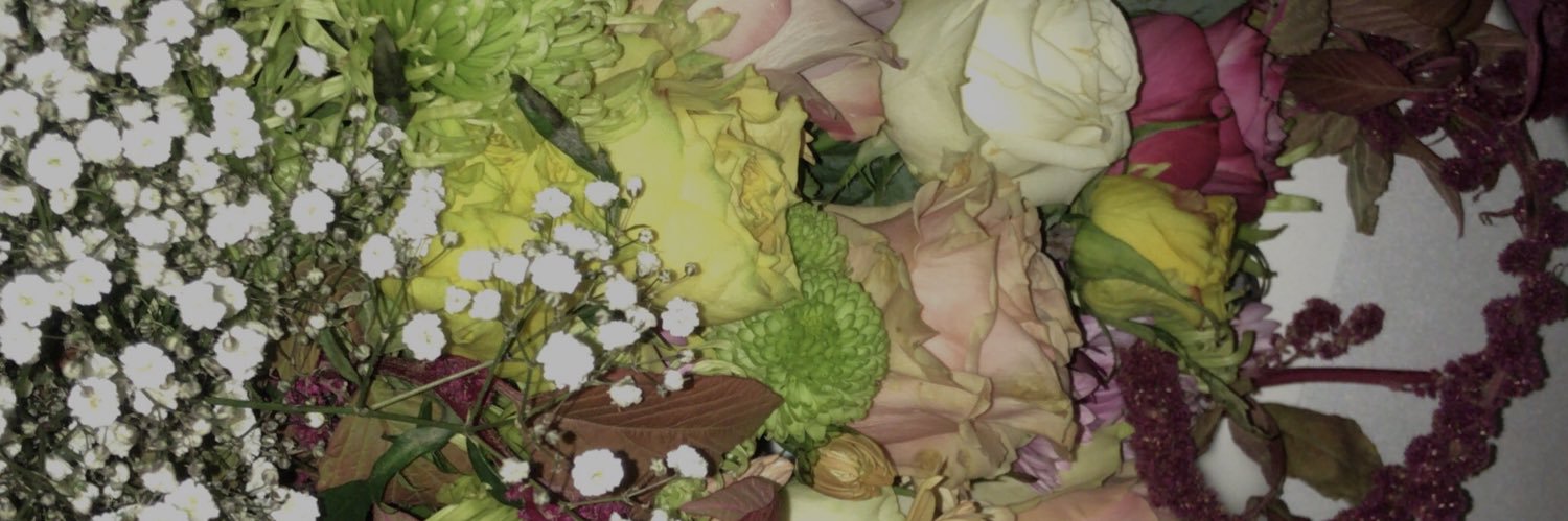 Esvetylmaz's profile banner image