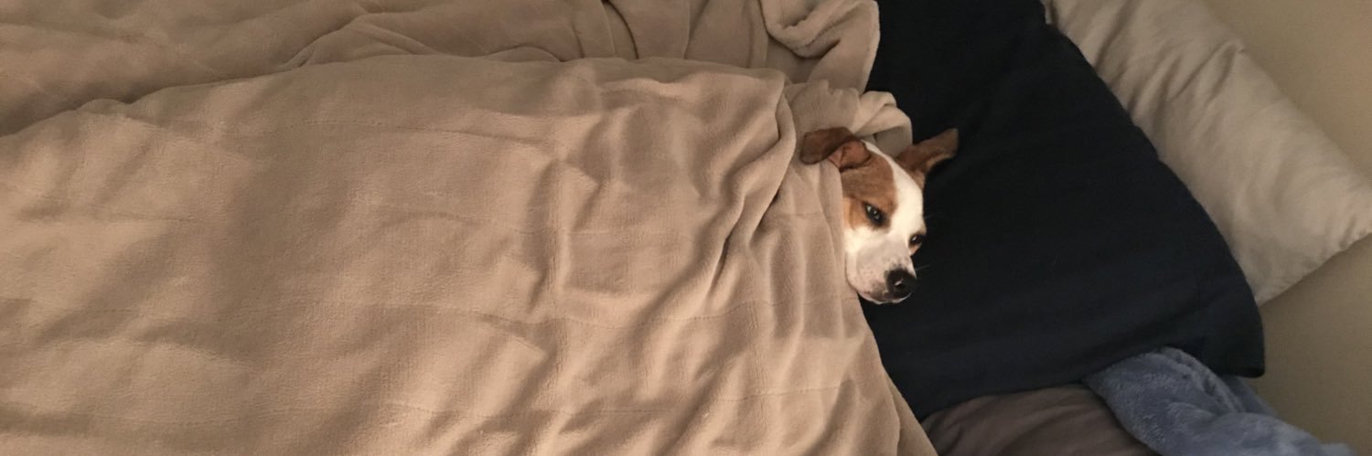 amyclarebro's profile banner image