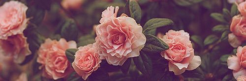 latifa_3li's profile banner image