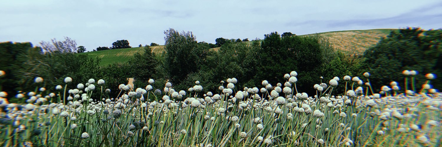 Judith_PHM's profile banner image