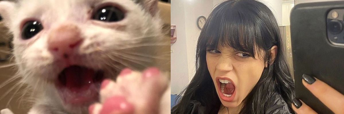 tay 🧙🏻‍♀️ banner