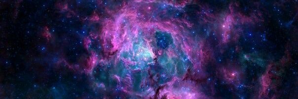Reinsec's profile banner image