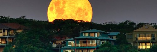 mub88's profile banner image