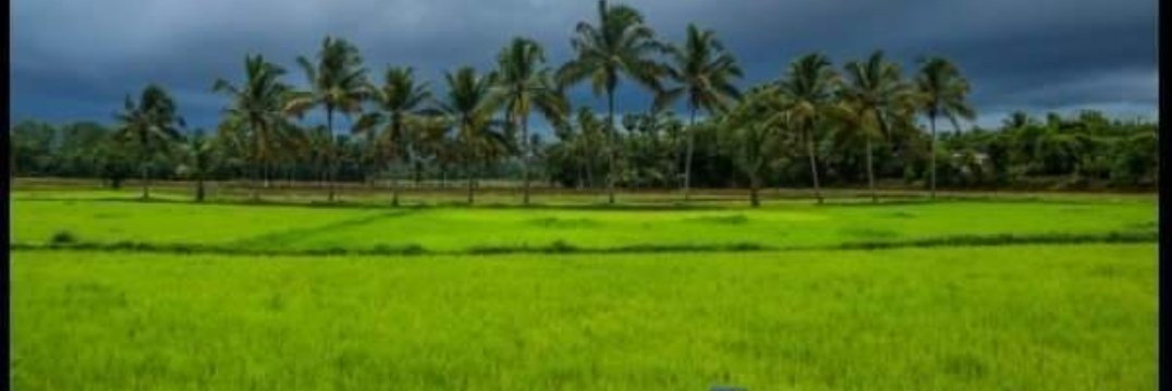 kotturvenkatt's profile banner image