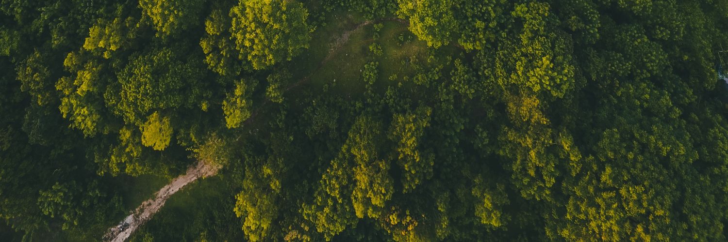 Kelmart25's profile banner image