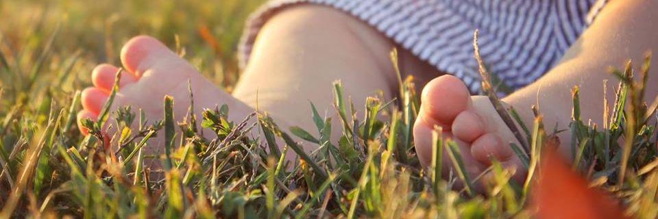 fancynancymer's profile banner image