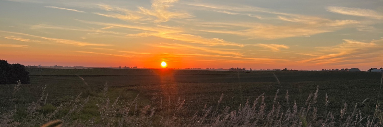 Erik Skovgard banner