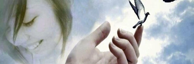 Gennaphyr 🌻☮ banner