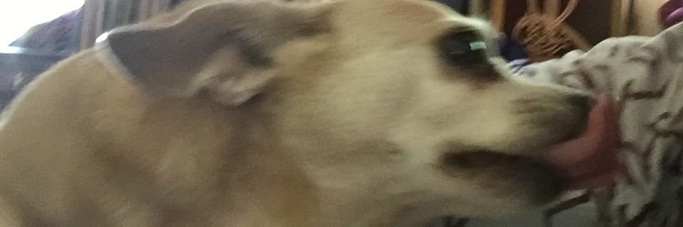 emancobalt's profile banner image