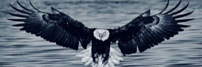 dilekolayy's profile banner image