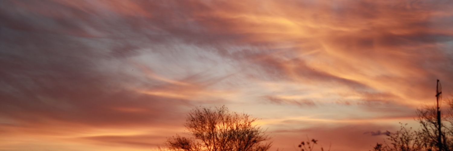 bainka08's profile banner image
