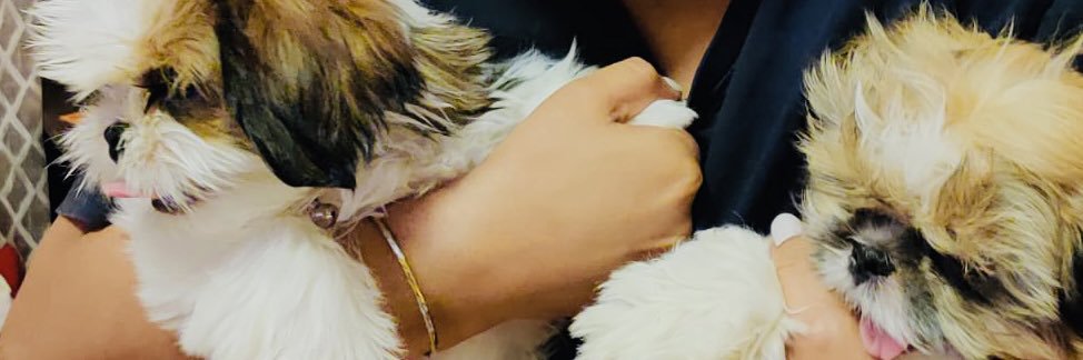 itsroysonali's profile banner image