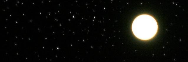gozdetarik's profile banner image