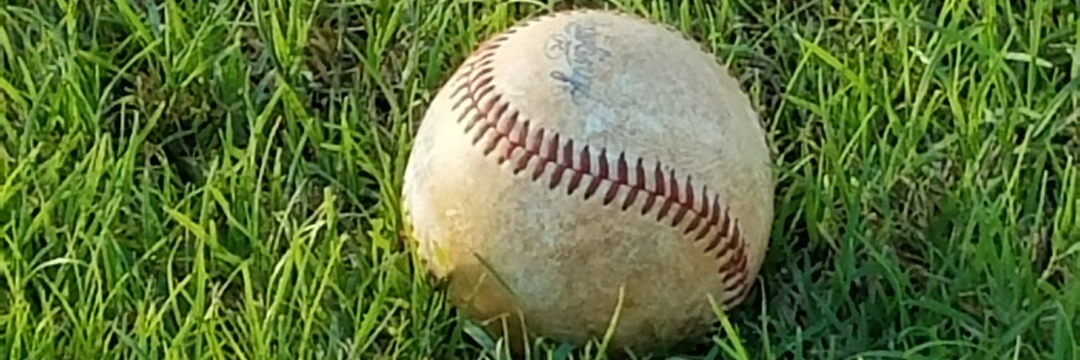 Will Mathison banner