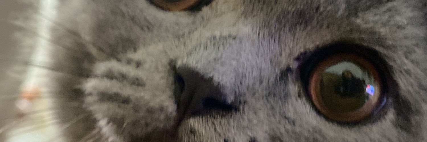 berffksa's profile banner image