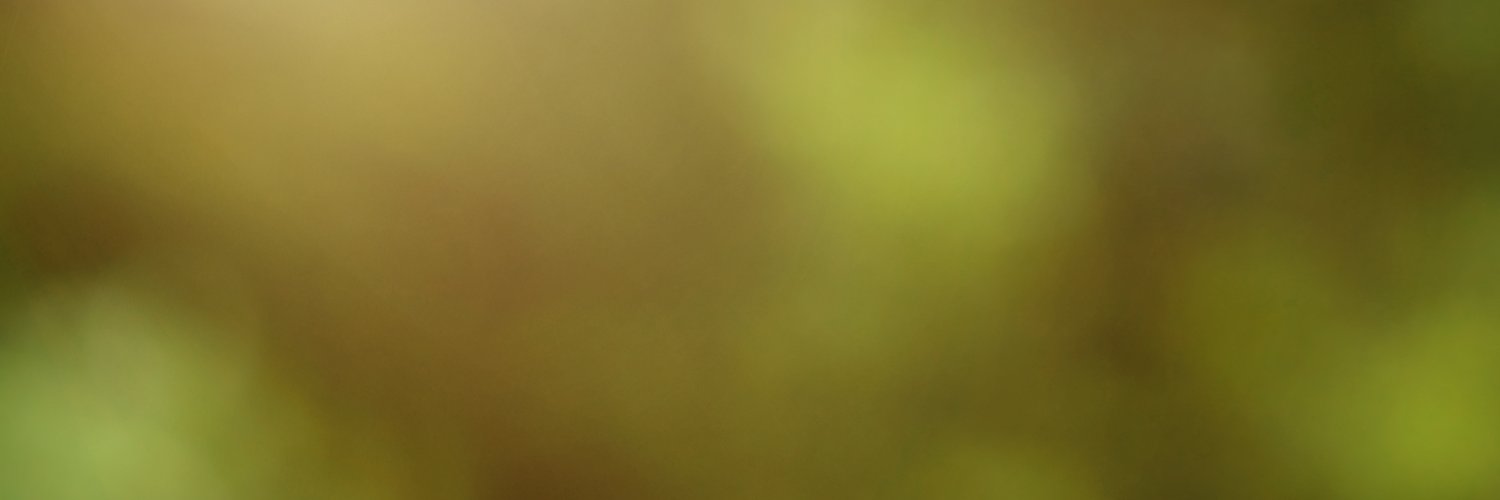leandroluiz85's profile banner image