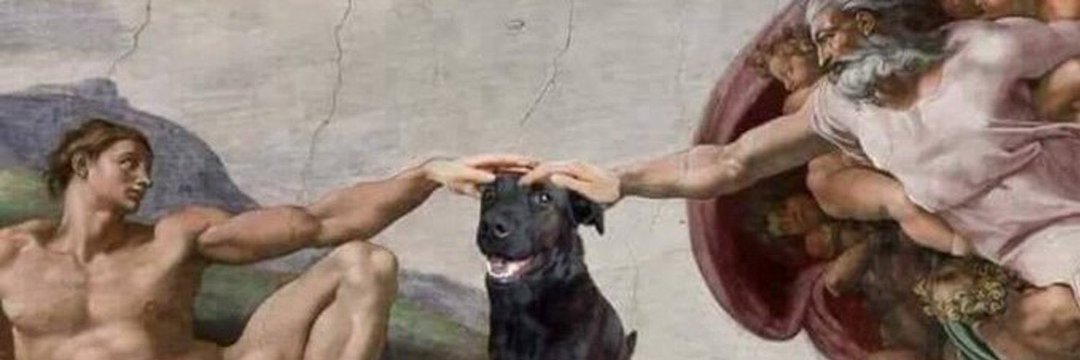 Jordi.shp 🫀🦦 banner