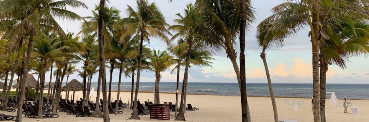 savy_mobes79's profile banner image