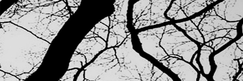AaronBessemer's profile banner image