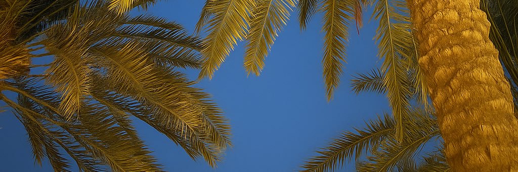 ra7x_7's profile banner image
